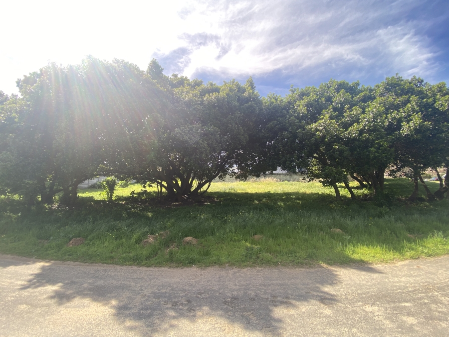 0 Bedroom Property for Sale in Hawston Western Cape
